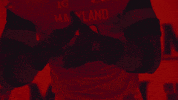 College Football GIF by Maryland Terrapins