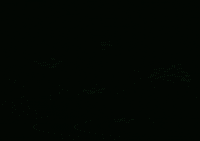 good-bye trees GIF by South Park 