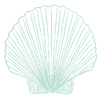 Sticker by Spell & The Gypsy Collective