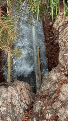 KPCC giphyupload GIF