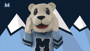 Polar Bear Thank You GIF by Mimico Lacrosse