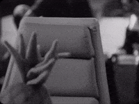 Samurai Pizza Cats GIF