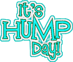 hump STICKER