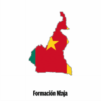 Cameroon Flag GIF by Formación Ninja