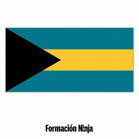 The Bahamas Flag GIF by Formación Ninja