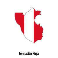 Peru Flag GIF by Formación Ninja