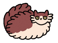 Cat Sitting Sticker