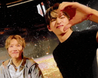 V Btsv GIF