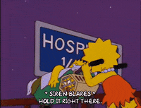 lisa simpson GIF