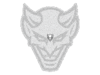 sport hockey Sticker by Zweilandstadt