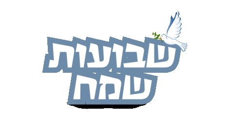 חגיתה יהדות Sticker