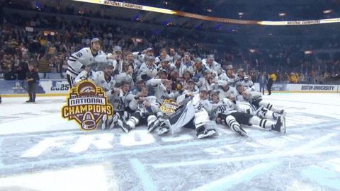 National Championship Wmu GIF by TheDreamTeam 