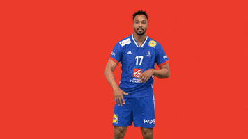 Ffhandball GIF by Fédération Française de Handball