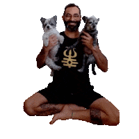 Namaste Felicidade Sticker by Zé Yoga