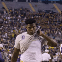 Lsu Football GIF by LSU Tigers