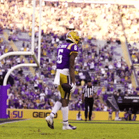 Lsu Football Win GIF by LSU Tigers