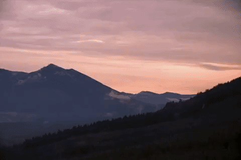 season 1 episode 6 GIF by Twin Peaks on Showtime