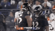 National Football League GIF by NFL