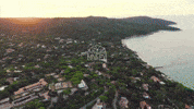Lily Of The Valley Peace GIF by Casol