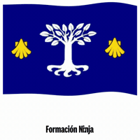 La Coruna Flag GIF by Formación Ninja