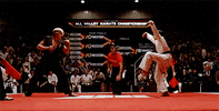 Karate Kid GIF by Filmin