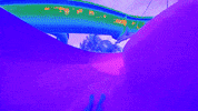 aquavenuturaspark #tobogan #playa #sol #arena #sol #luz GIF by Dolphin Discovery