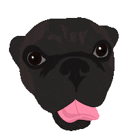Cao Danilo Sticker