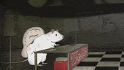 season 1 cats GIF by Animals