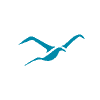 Avemarinhabeachwear Sticker by Ave Marinha