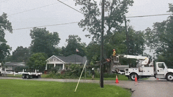 Crews Clean Up Fallen Tree After Storms Move Through Southeast Texas