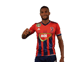molfehervarfcgif vidi szekesfehervar nego fehervar Sticker