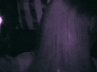 Jorji GIF