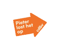 Bridgeneers cdv cdvantwerpen pieterlosthetop Sticker