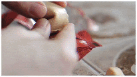 magicspells giphygifmaker music dog pizza GIF