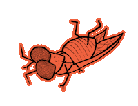 JohnnyMacc dance dancing fly johnny Sticker