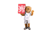 KSVHessen ksv loewen ksvhessenkassel Sticker