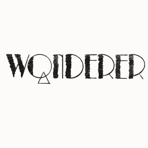 Wonder GIF by Wonderer Journal