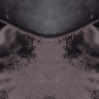 Art Mirror GIF by John Fogarty