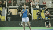 Winning France GIF by Fed Cup by BNP Paribas