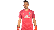 Jiri Pavlenka Sticker by SV Werder Bremen