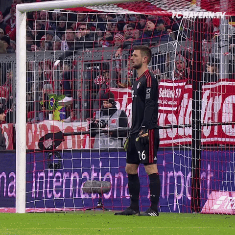 focus goalkeeper GIF by FC Bayern Munich