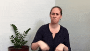 Asl Surface GIF
