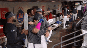 Home Run Baseball GIF by New York Mets