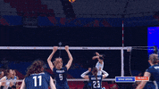 Jump Wow GIF by Volleyball World
