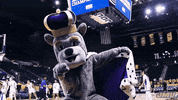 Happy Sport GIF by James Madison University