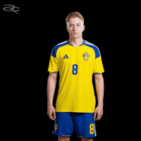 Fifa World Cup Uefa GIF by Respective