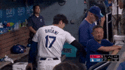 Celebrate Major League Baseball GIF by MLB