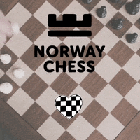 Sjakk Rogaland GIF by Norway Chess
