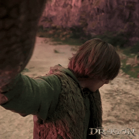 Dragons Dreamworks GIF by How To Train Your Dragon