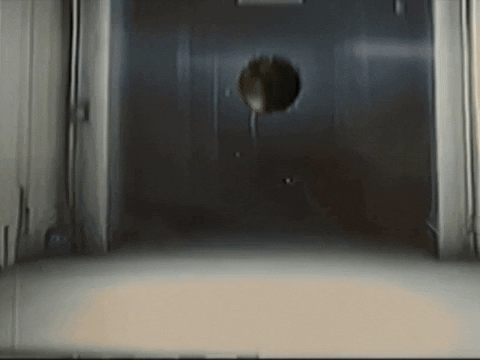 Footage Oaf GIF by jorgemariozuleta